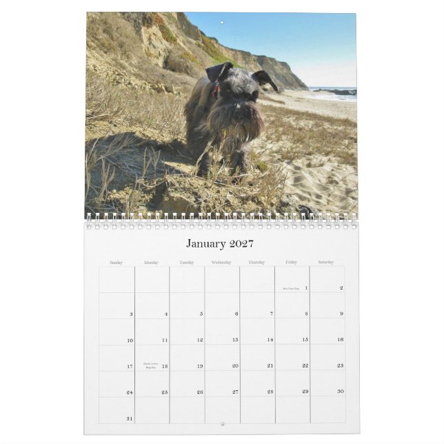 Glücklicher Jagdhund-Zwergschnauzer-Kalender 2013 Kalender (Jan 2027)