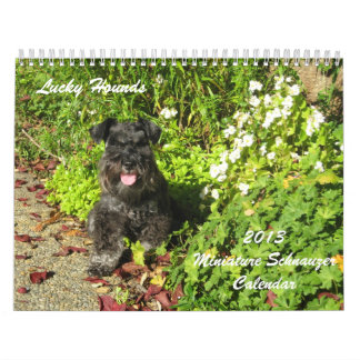 Glücklicher Jagdhund-Zwergschnauzer-Kalender 2013 Kalender
