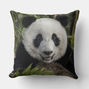 Glücklicher junger Panda, China Kissen