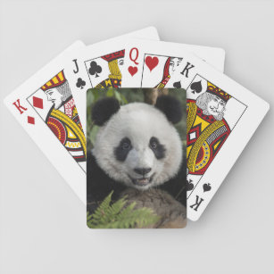 Glücklicher junger Panda, China Spielkarten