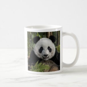 Glücklicher junger Panda, China Tasse