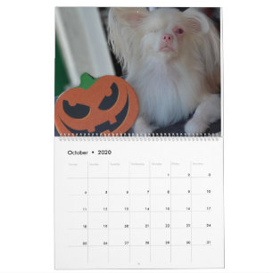 Glücklicher Kalender 2020