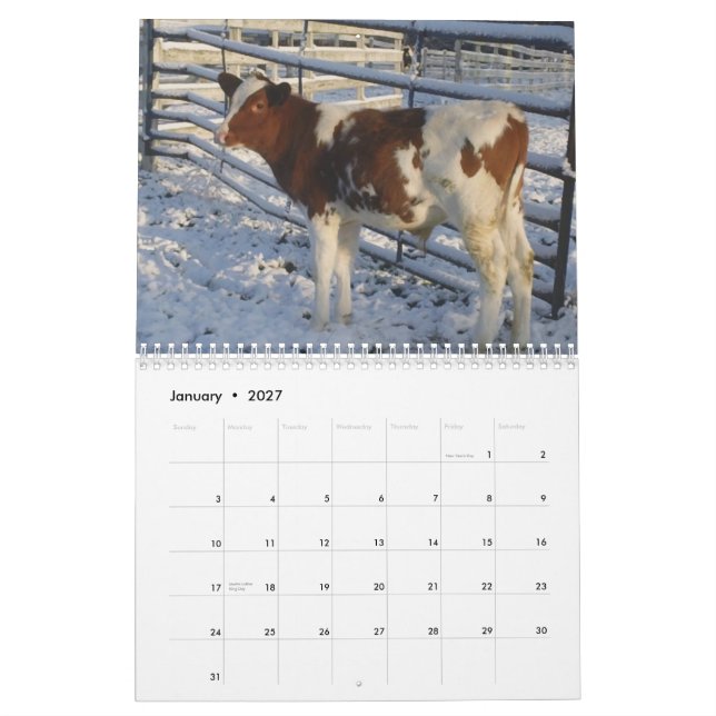Glücklicher Kühe ~ 2013 Kuh-Kalender Kalender (Jan 2027)