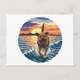 Glücklicher Labrador läuft durch goldenen Sonnenun Postkarte