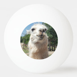 Glücklicher Lama-Klingeln pong Ball Tischtennisball