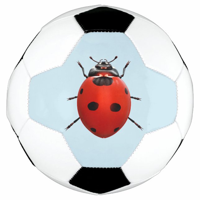Glücklicher Marienkäfer Fußball (Vorderseite)