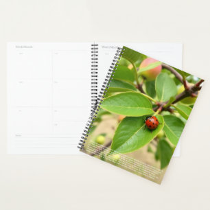 Glücklicher Marienkäfer-Kalender Planer