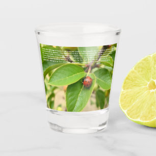 Glücklicher Marienkäfer Schnapsglas
