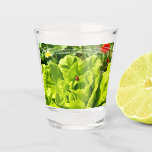 Glücklicher Marienkäfer Schnapsglas