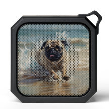 Glücklicher Mops am Strand