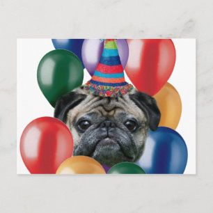 Glücklicher Mops zum Geburtstag Postkarte