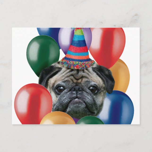 Glücklicher Mops zum Geburtstag Postkarte (Vorderseite)