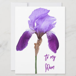 Glücklicher Muttertag hübsche lila Irisblume Feiertagskarte