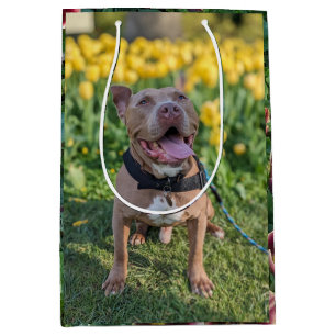 Glücklicher Pitbull mit Blumenfotografie Mittlere Geschenktüte