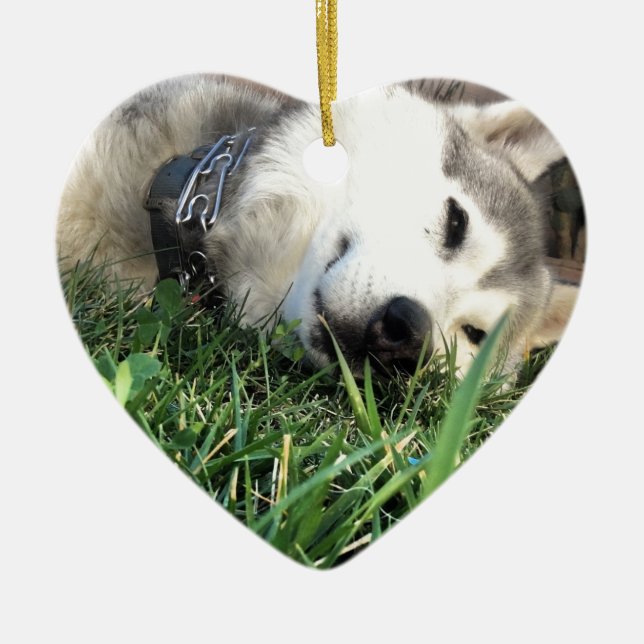 Glücklicher Schlittenhund Keramikornament (Vorne)