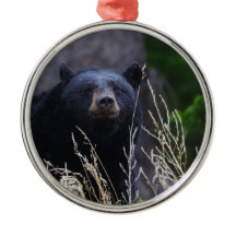 glücklicher schwarzer Bär