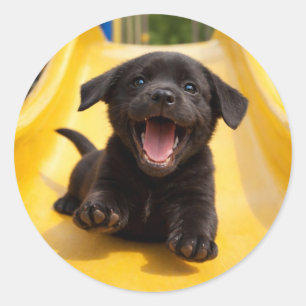 Glücklicher schwarzer Labrador-Welpe rutscht die g Runder Aufkleber