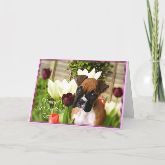 Glücklicher Schwiegertagsboxer Grußkarte Karte (Vorderseite)