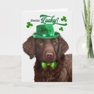 Glücklicher St. Patricks Tag für den Hund mit Lock Feiertagskarte