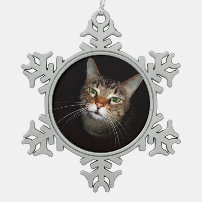 Glücklicher Tabby Wiskers Schneeflocken Zinn-Ornament (Vorderseite)