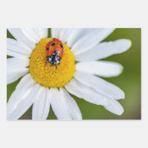 Glücklicher Teufel mit diesem Ladybug! Geschenkpapier Set