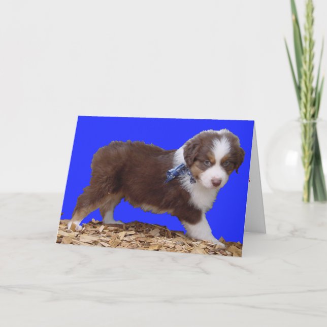 Glücklicher Valentinstag-Australier Feiertagskarte (Vorderseite)