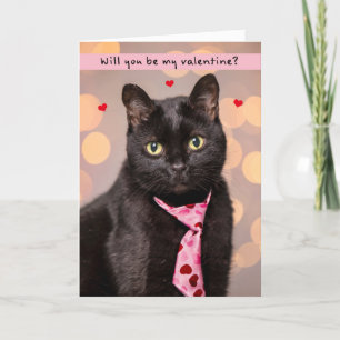 Glücklicher Valentinstag für alle Niedlichen Katze Feiertagskarte