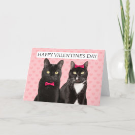 Glücklicher Valentinstag für zwei Katzen Spaß Feiertagskarte