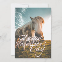 Glücklicher Valentinstag mit Blick auf Pferd