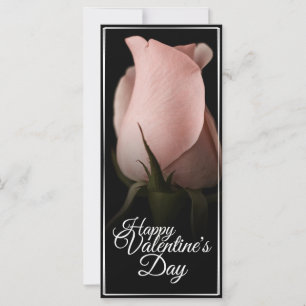 Glücklicher Valentinstag mit rosa Rosa