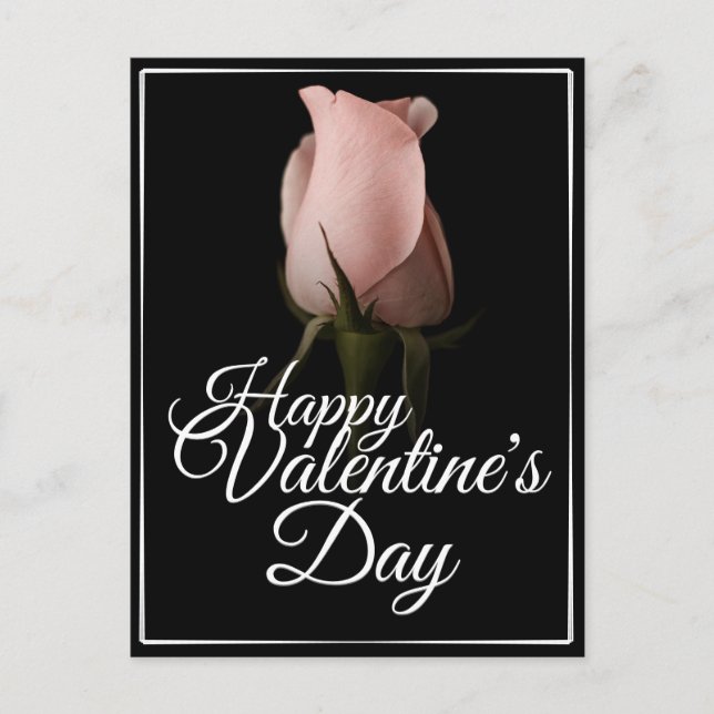 Glücklicher Valentinstag mit rosa Rosa Feiertagspostkarte (Vorderseite)