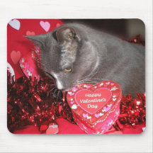 "Glücklicher Valentinstag!"