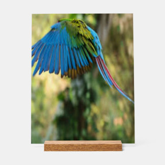 glücklicher Vogel Acrylschild