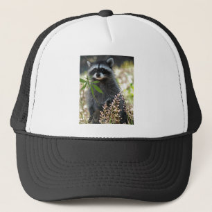 GLÜCKLICHER WASCHBÄR TRUCKERKAPPE