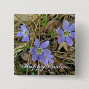 Glücklicher weicher blauer Hepatica Button