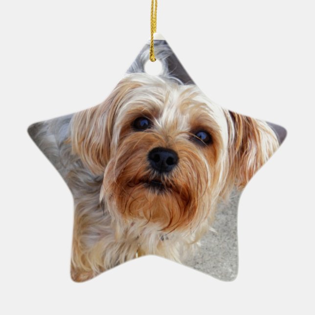 Glücklicher Yorkie Welpe Keramikornament (Vorne)