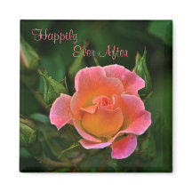 Glücklicherweise immer nach der Rose