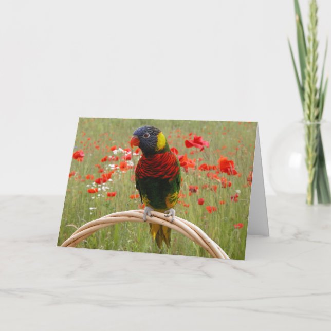 Glückliches Birdday! Karte (Vorderseite)