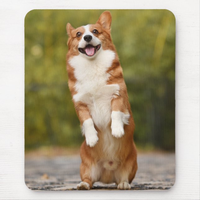 Glückliches Corgi-Welpen-Stehfoto Mousepad (Vorne)