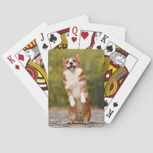 Glückliches Corgi-Welpen-Stehfoto Spielkarten