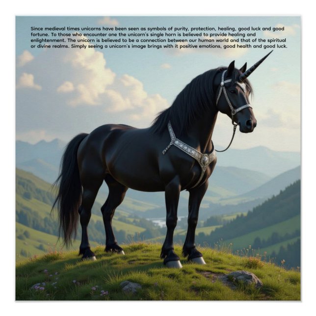 Glückliches Einhorn Poster (Vorderseite)