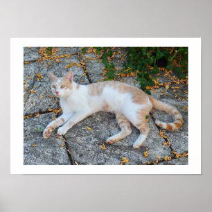 Glückliches Erwachen Poster