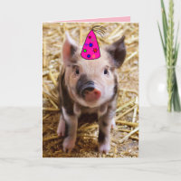 GLÜCKLICHES GEBURTSTAGS FUNNY PIG PIGLET GREETING 