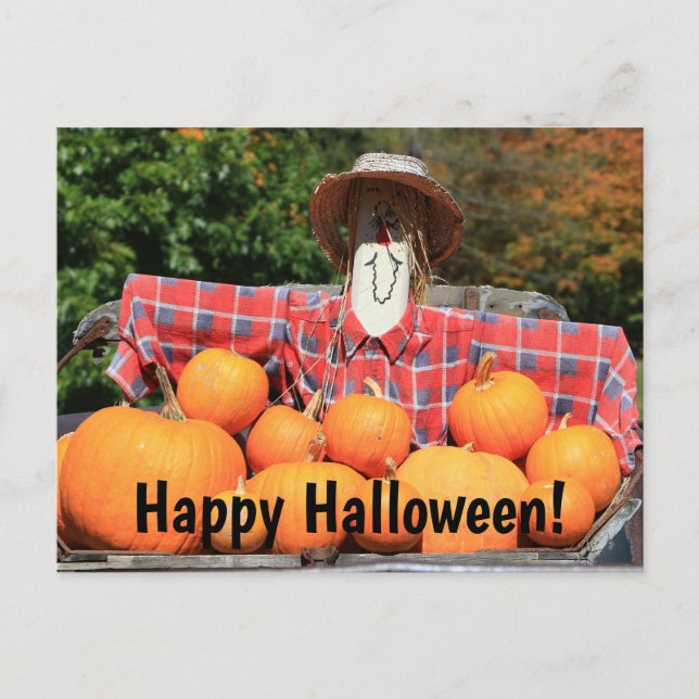 Glückliches Halloween vom Pumpkin Patch Postcard Postkarte (Vorderseite)