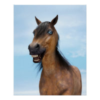 Glückliches lächelndes Braunpferd