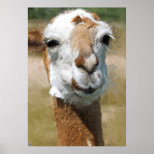 Glückliches Lama, Malereieffekt Poster