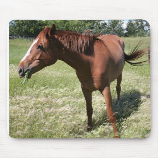 Glückliches Pferd Mousepad