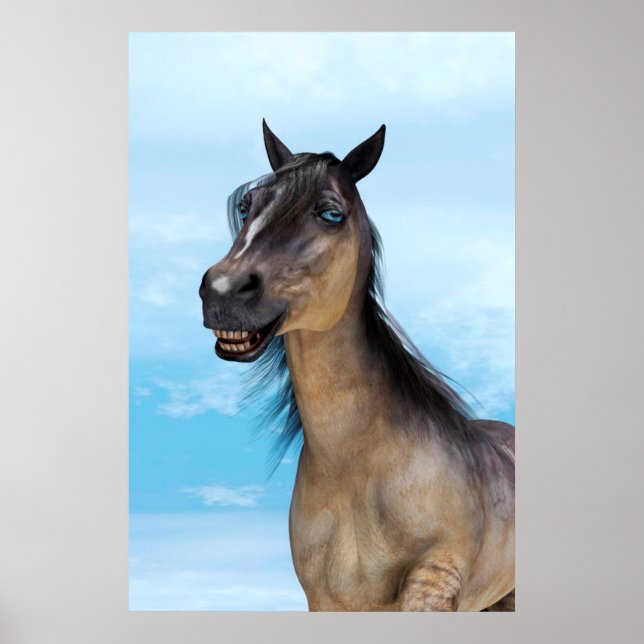 Glückliches Pferd Poster (Vorne)