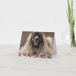 glückliches Plätzchen Leonberger Feiertagskarte