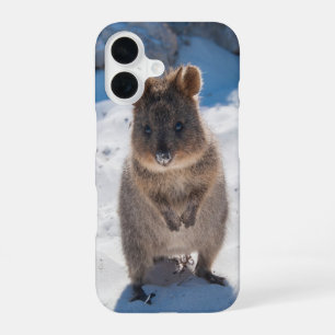 Glückliches Quokka-Tier am Strand Australien iPhone 16 Hülle